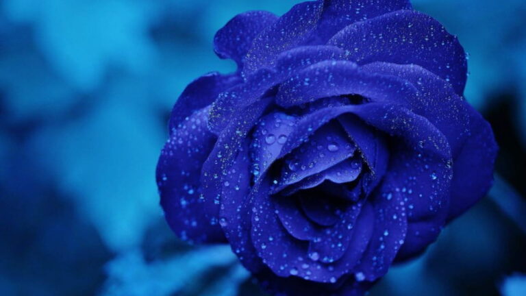 color azul 2