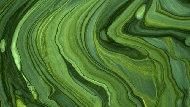 ¿Qué color es el opuesto al verde? (Color complementario) color opuesto verde