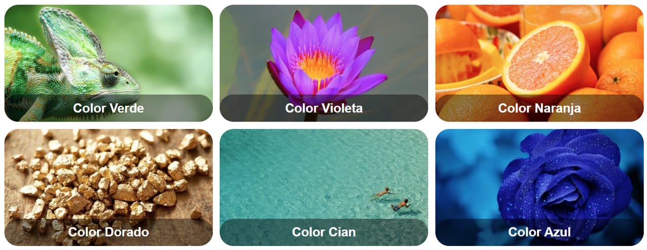 colores select