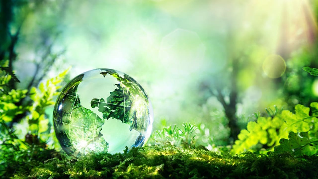 ecologico verde ecologico verde