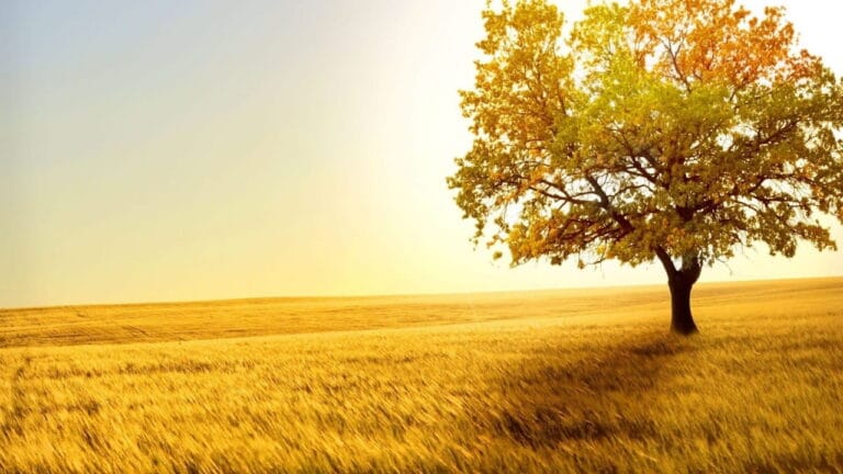 Colores que componen amarillo