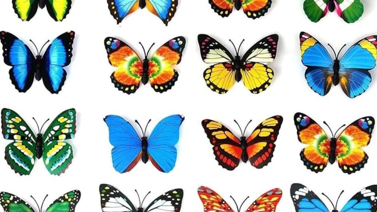 Significado del Color de las Mariposas