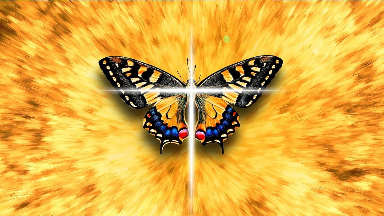 Significado del Color de las Mariposas religion
