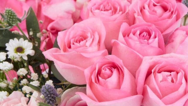 Color Rosa. Significados y uso en la Moda +11 Conceptos color rosa 1