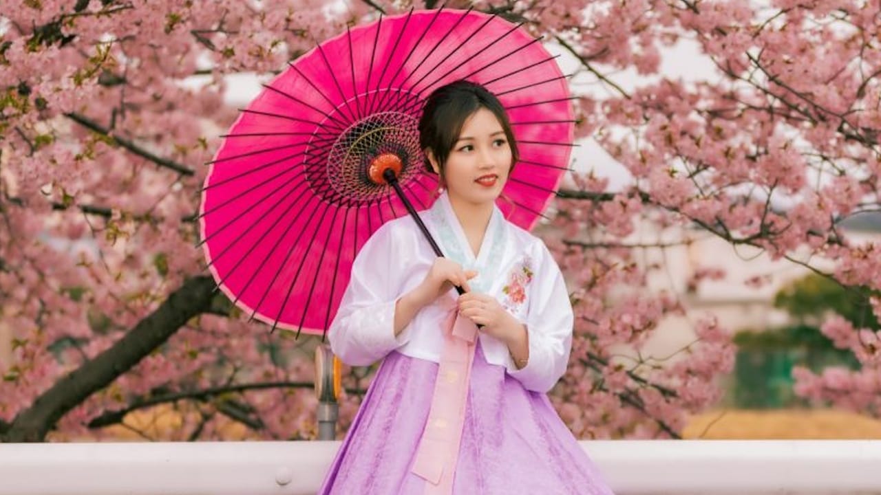 colores korea Simbolismo Coreano de los Colores