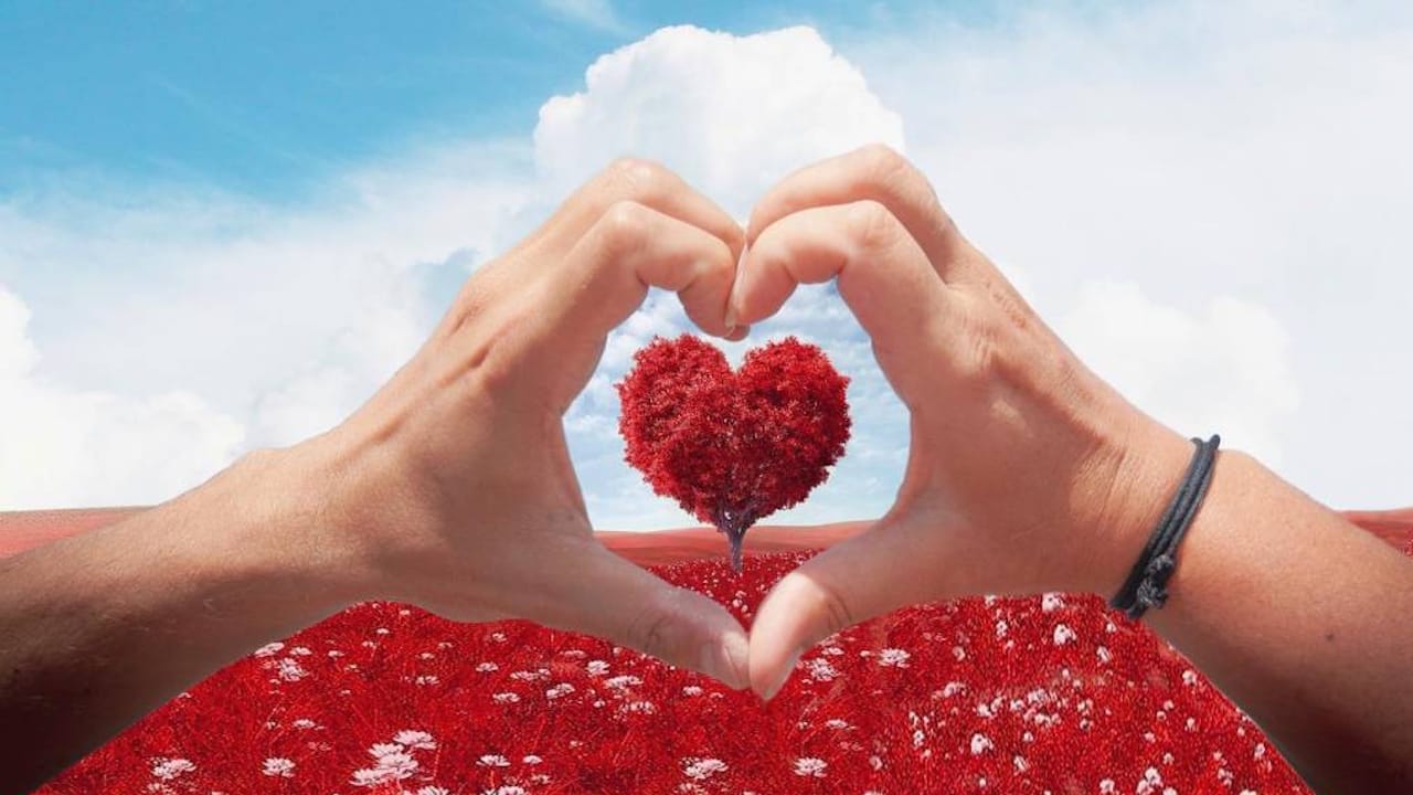 colores san valentin colores san valentin