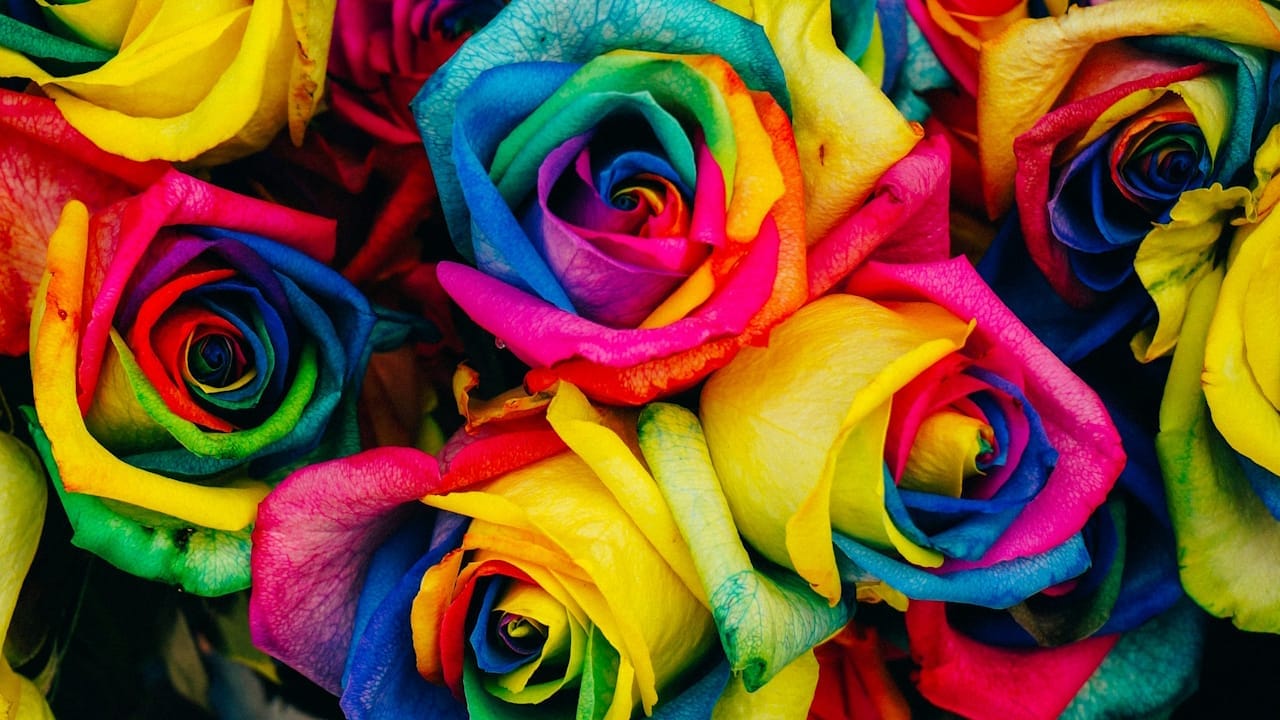 flores colores 9 Colores de las flores Significado y simbolismo