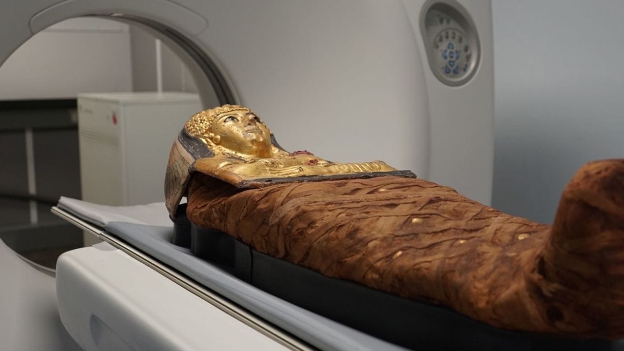 historia color marron historia color marron