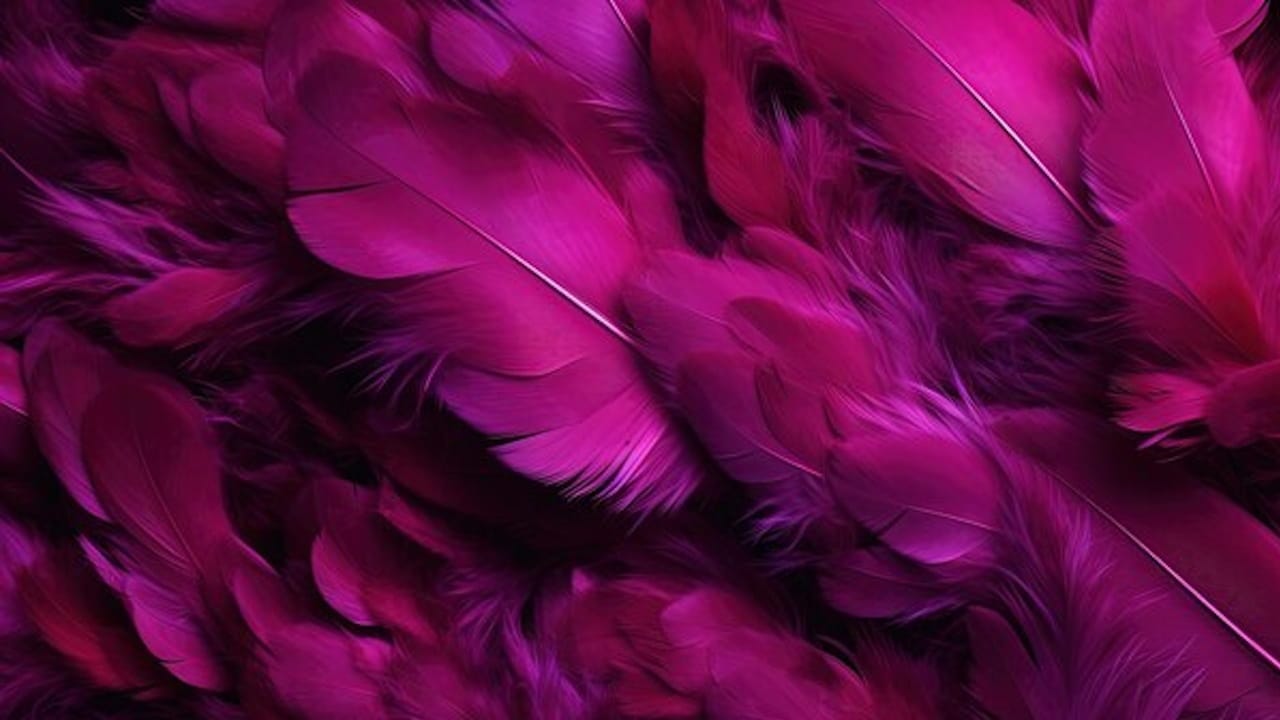 significado color magenta significado color magenta