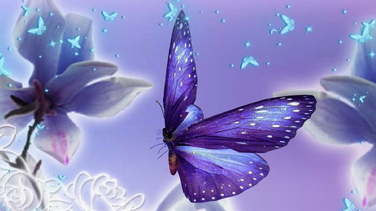 significado mariposa purpura